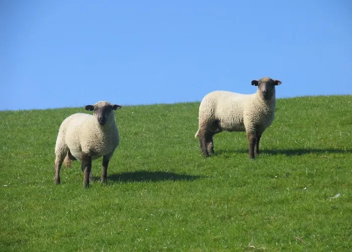 Lägenhet Im Kaestner *